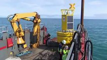 Una boya marina para prevenir colisiones entre barcos y cetáceos en el mar de Irlanda