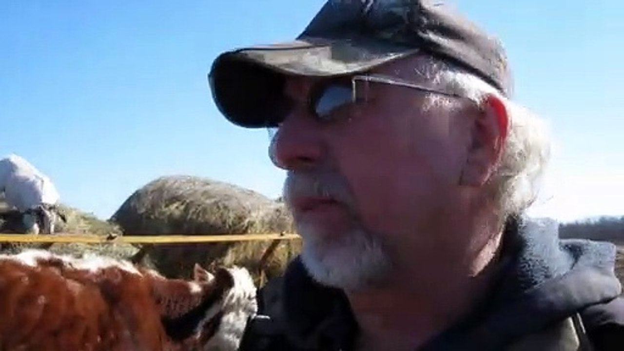 Video blog 2 Spring is coming