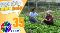 Sui gia khắc khẩu - Tập 35[1]: Nam đề nghị vạch mặt Kiều bằng cách đánh vào lòng tham của cô ta