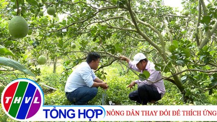 Nông nghiệp xanh - Kỳ 26: Nông dân thay đổi để thích ứng