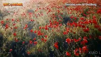 Bí mật Tam giác vàng - Địa danh đáng sợ trên toàn thế giới tại Đông Nam Á