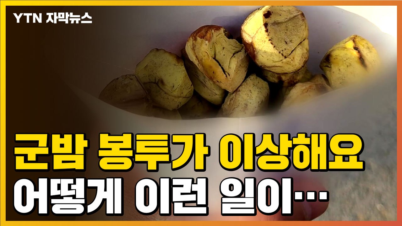 [자막뉴스] '군밤 봉투가 이상해요'...어떻게 이런 일이? / YTN