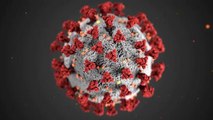 Coronavirus Latest Updates: 5 worst hit states hit by Covid-19 cases surge