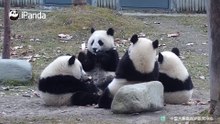 好朋友的聚会
