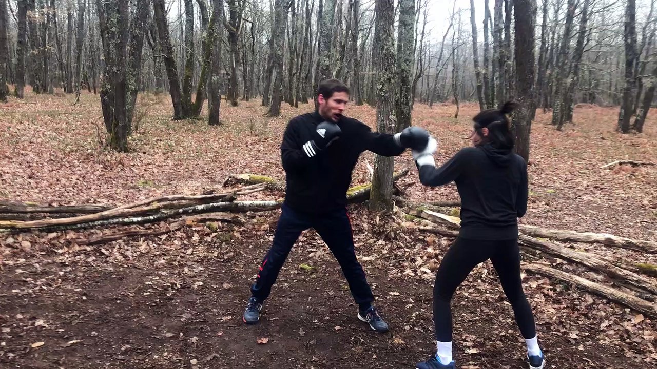 Boxe exterieur st sulpice 81