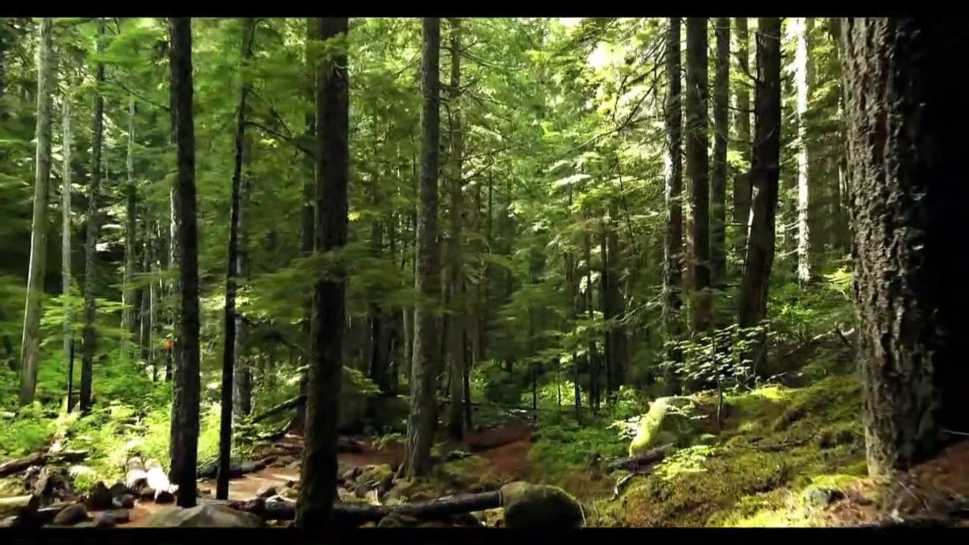 Relaxing Music _Meditation Music _Soothing Music _ Guitar Music _