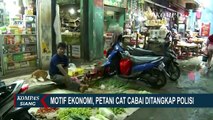 Gegerkan Warga, Polisi Kini Selidiki Kasus Dugaan Cabai Rawit Diberi Cat yang Tengah Beredar