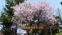 [영상구성] 검사 수 줄었어도 여전히 400명대…내일부터 65세 이상 AZ백신 접종