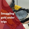 Chennai Customs arrest two men for smuggling gold under their wigs