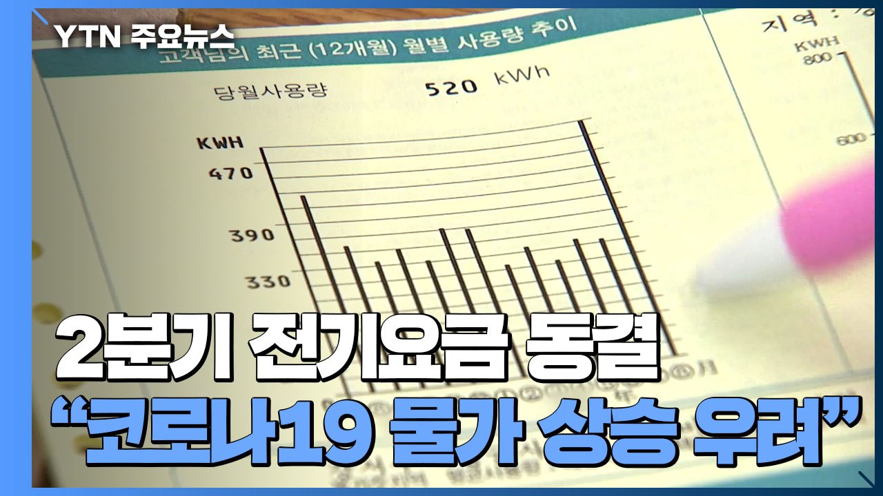 2분기 전기요금 동결..."코로나19 불경기 물가 상승 우려" / YTN