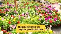 Ankara Büyükşehir Belediyesi çiçekçilerle sözleşme imzaladı: 
