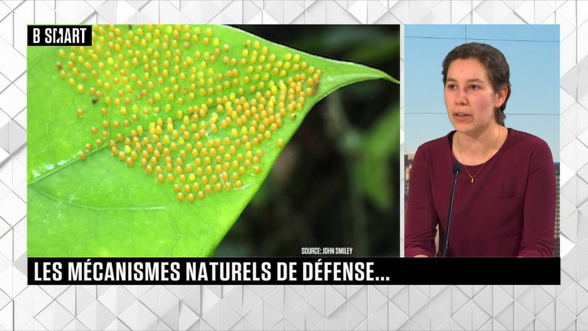 LE RENDEZ-VOUS du lundi 22 mars 2021