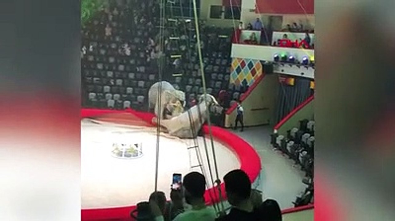 Sirkte filler birbirine girdi, izleyenler böyle kaçtı