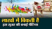 पेंटिंग बनाकर लाखों कमाता है सूअर Pigcasso, Prince Harry की पेंटिंग देखकर हो जाएंगे हैरान