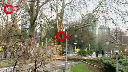 TBMM bahçesine yıldırım düştü