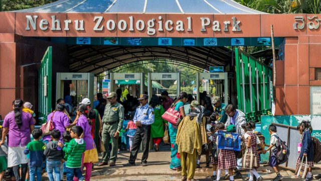 #Hyderabad: Nehru Zoological Park Summer Arrangements మూగజీవాలకు ప్రత్యేక రక్షణ