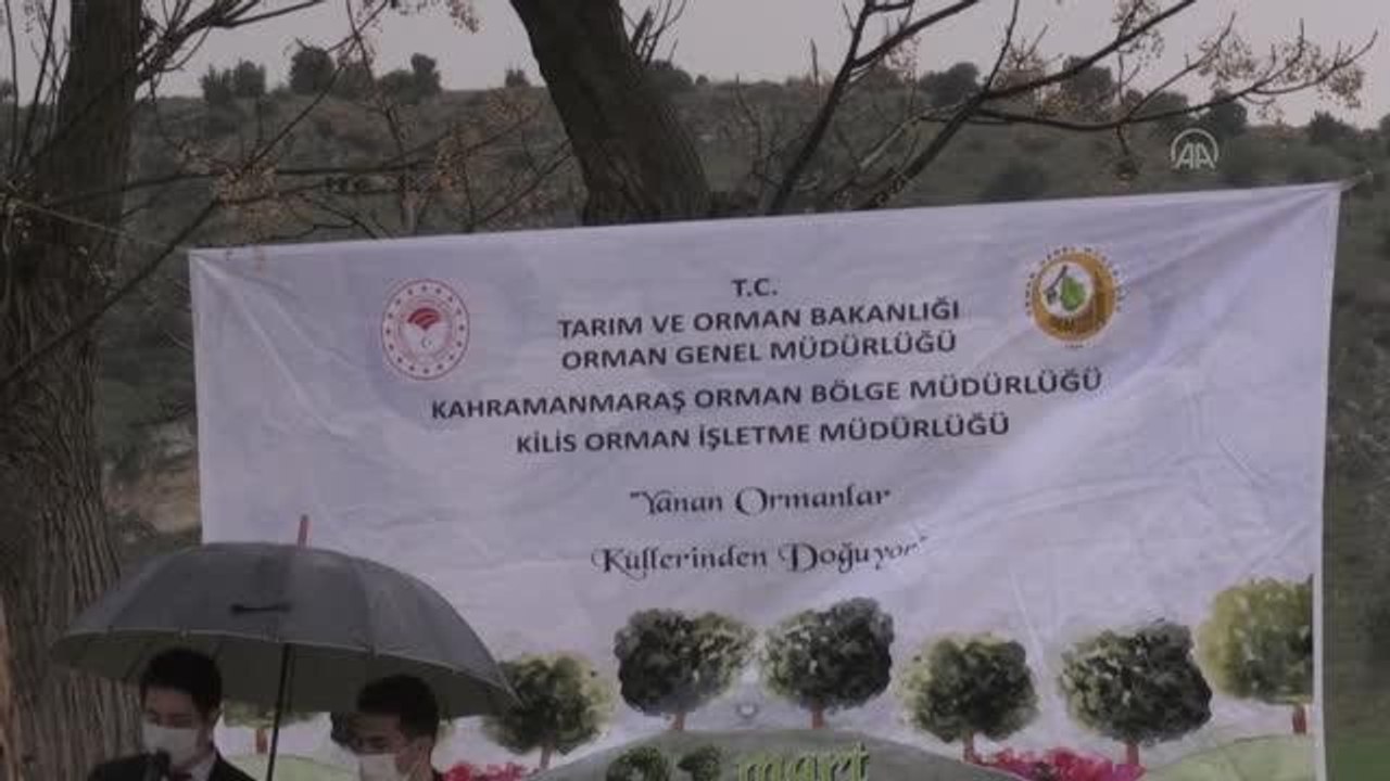 Son dakika haberi... Orman Haftası etkinlikleri kapsamında, yangında zarar gören alanlara fidan dikildi