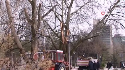 Meclis bahçesine yıldırım düştü... TBMM: 'Herhangi bir can kaybı yaşanmamıştır'