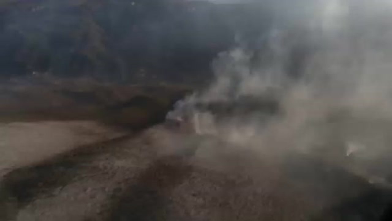 Medio centenar de incendios arrasan miles de hectáreas de bosque en México