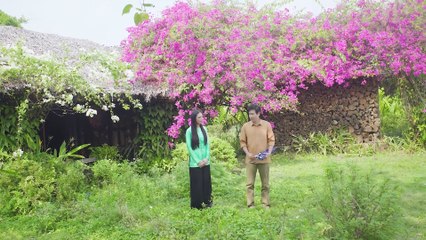 Phải Duyên Hay Nợ | DVĐA Trí Quang - Mai Lệ Quyên | GIALAC0210