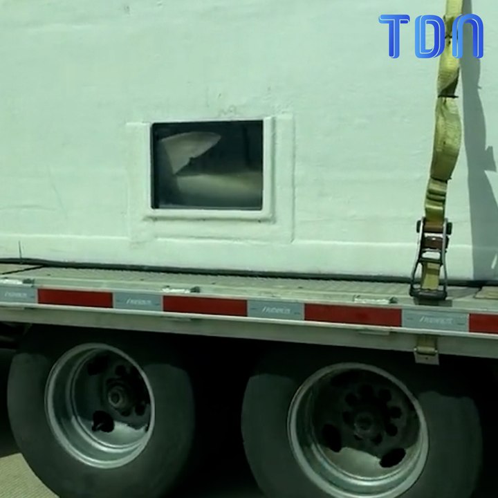 Avez-vous déjà vu... des requins sur l'autoroute ? Maintenant, oui !