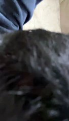 禿げ初めてる...風呂上がり頭頂部チェック3/29