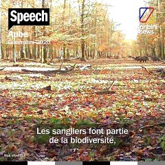 Une fabrique à sangliers dans l’Aube ? | Le Speech du naturaliste Pierre Rigaux