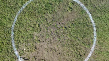 Des cercles de distanciation sociale dans le Citadel Park à Gand