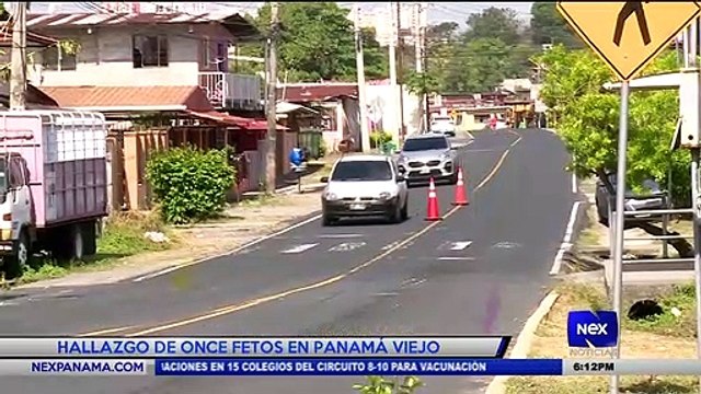 Hallazgo de once fetos en Panamá Viejo - Nex Noticias