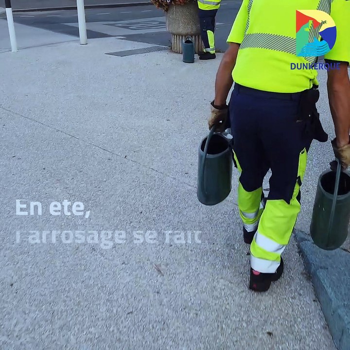 Projet Dunkerque au Naturel - La digue de Malo-les-Bains