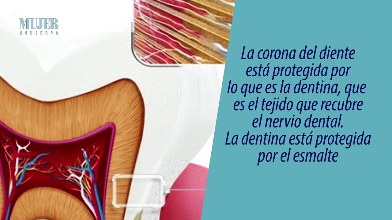 Consejos dentales | Sensibilidad dental- Nex Panamá