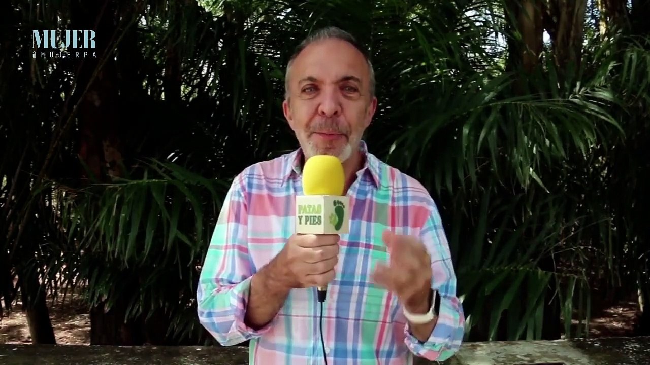 Vida animal | Conociendo al gato ragdoll - Nex Panamá