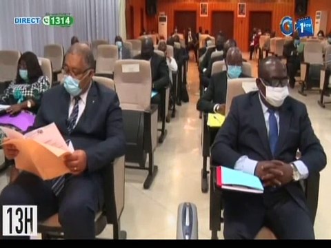 RTG/ Audition du député Yves Fernand Moufoumbi sur la proposition de loi portant sur réglementation de la filière Agro carburant au Sénat