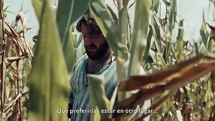 Скачать видео: El horizonte - Tráiler oficial VOSE