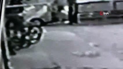 - Gençlerin elleriyle yaptığı yürüteçler 15 engelli hayvanı hayata bağladı