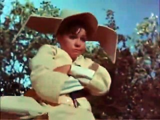 The Flying Nun   1x12   A Young Man with a Cornette