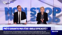 Prêts garantis par l'Etat : quelle efficacité ? - 22/03