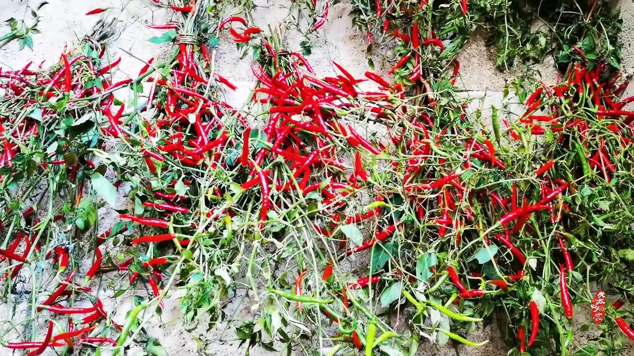 Fried chili rings halal - Muslim Chinese Food