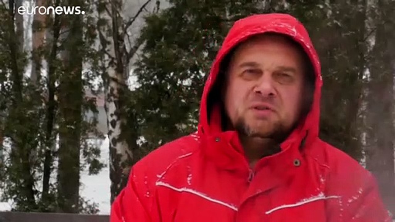 Bison Bonasus: In Europa nur noch 'fast bedrohte' Art