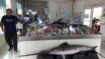 MUĞLA - Fethiye açıklarında 80 ve 100 kilogramlık 2 kılıçbalığı oltayla yakalandı