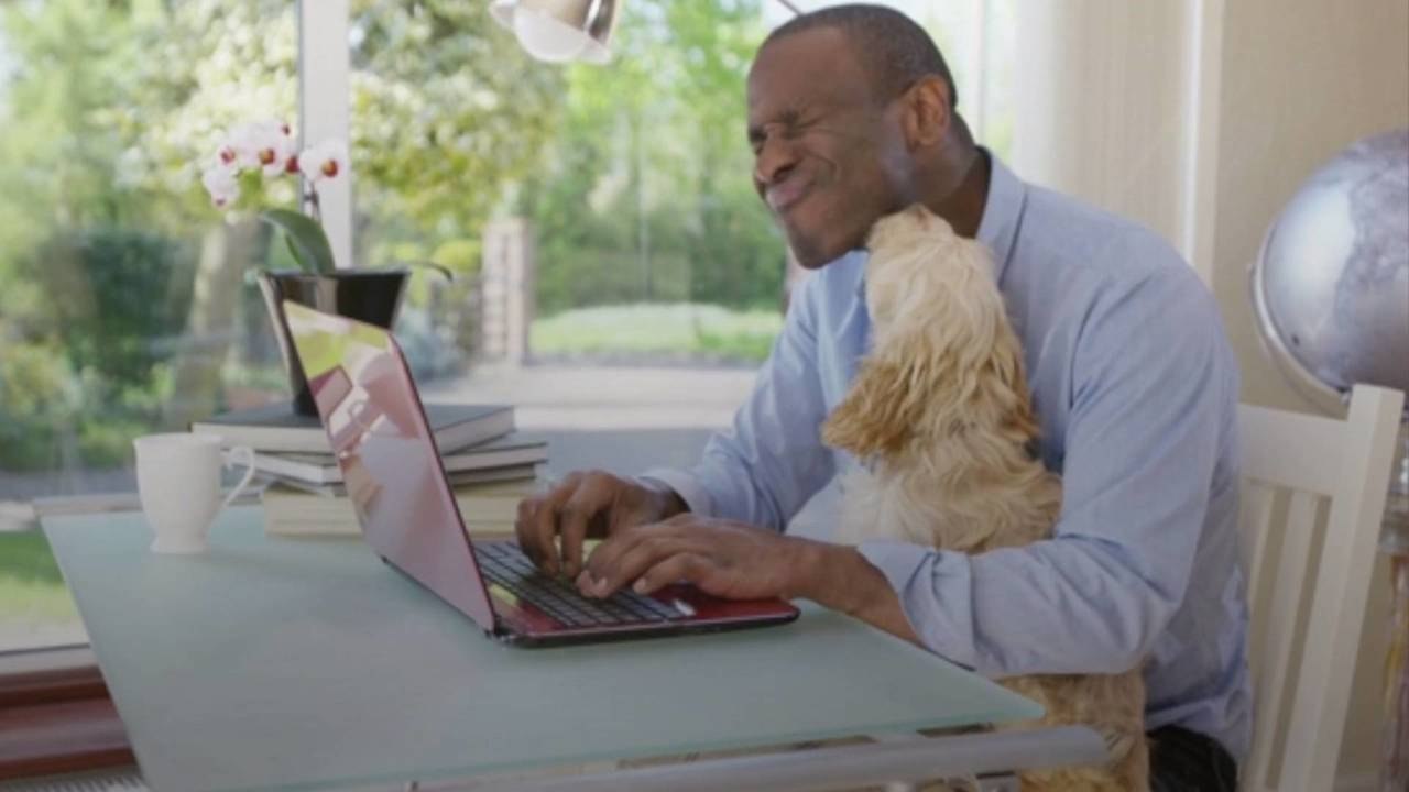Why Does Your Dog Follow You Everywhere?