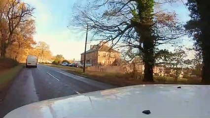 Dogs Behaving (Very) Badly S03E04 (26 Jan 2021)