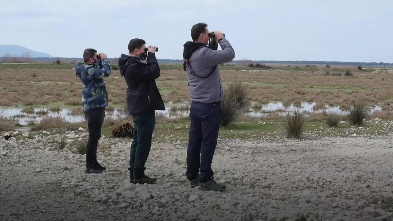 Albanien: Naturschutzgebiet in Gefahr