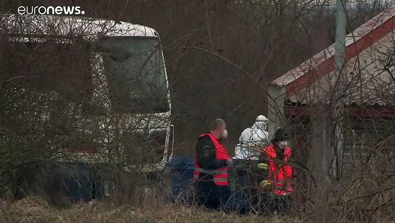 Vogelgrippe in Tschechien: 40.000 Enten müssen gekeult werden