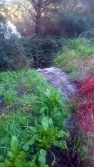 Vertido de aguas residuales de Las Jaras al lago de La Encantada