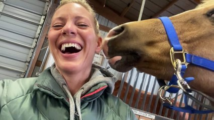 Horse Rubs Nose Against Lady's Ear