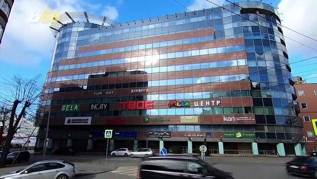 This Lonely Pup Waits Outside Patiently For His Owner to Finish Up His Work Day