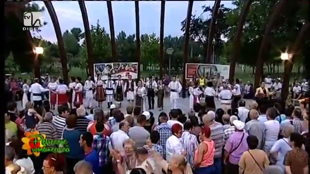 Iulia Mihai - Alelele salcioara (Petrecere romaneasca - Tvh - 05.07.2015)