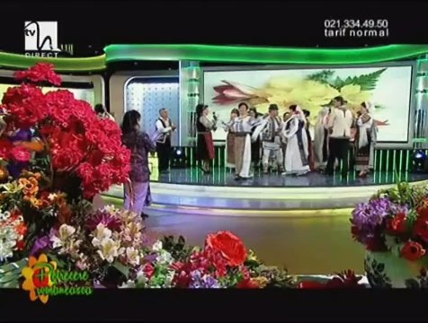 Viorica Podgoreanu - Ce bine imi sta nevasta (Petrecere romaneasca - Tvh - 12.07.2014)