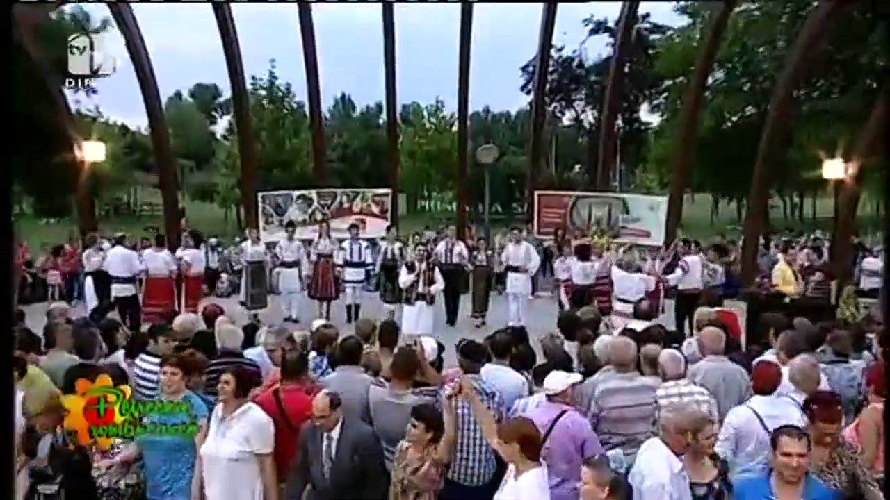 Daniel Turica - Marie din Teleorman (Petrecere romaneasca - Tvh - 05.07.2015)